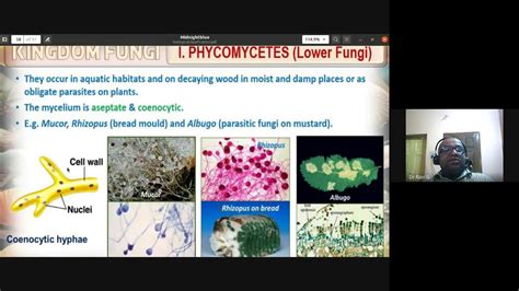 Mycota | Reproduction | plasmogamy | karyogamy | ascomycetes | basidiomycetes | biologytutorNEET ...