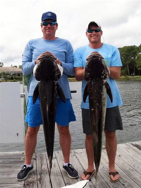 Destin, Florida cobia fishing tournaments are on for 2021