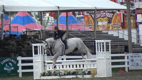 Pin by Mugs Media on 2016 Sussex County Farm and Horse Show | Show horses, Horses, Animals