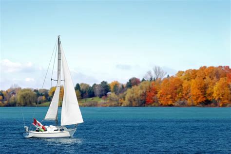 Sailing Boats vs. Fishing Boats | Westshore Marine & Leisure