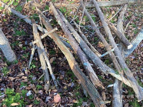 DIY Survival Shelters: How To Build a Shelter With No Tools - Pew Pew ...