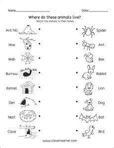 Animals And Their Homes Worksheets English - pic-ora