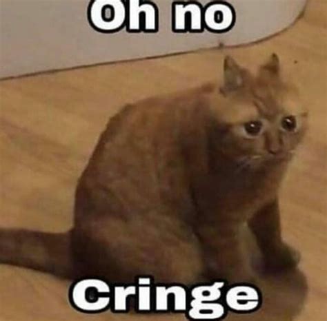 Oh no, cringe -Gatto | Cringe, Stupid memes, Meme stickers