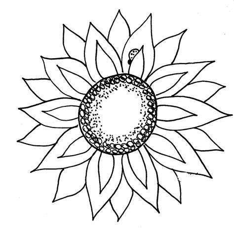 Sunflower Black And White Drawing at GetDrawings | Free download