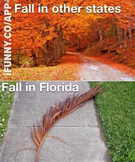 Autumn in Florida – John Greco Author/Photographer