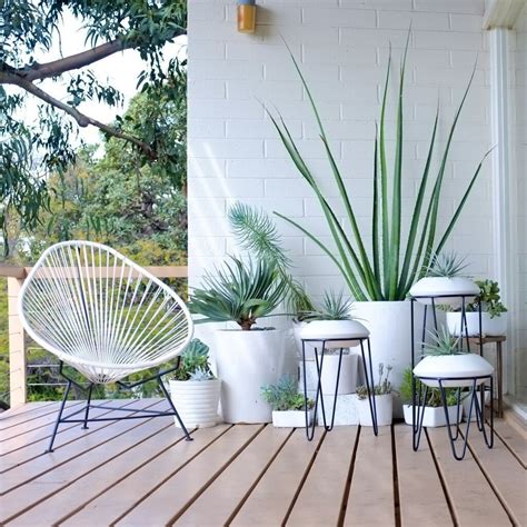 9 Calm And Relaxing Mid Century Modern Garden Plants Ideas