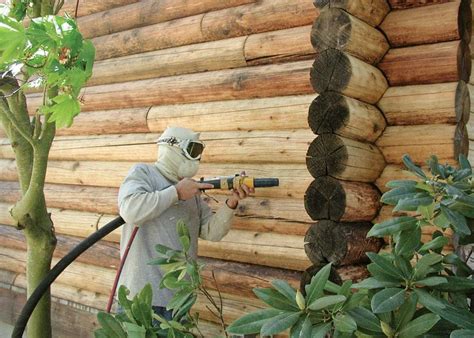 Log Home Stain Removal: What You Need to Know