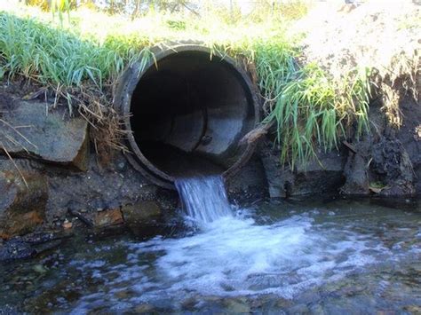 Northwest Pacific Salmon Habitat Restoration Efforts Hampered by ...