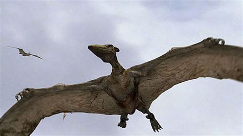 New pterodactyl flying dinosaur the size of a small plane has been ...