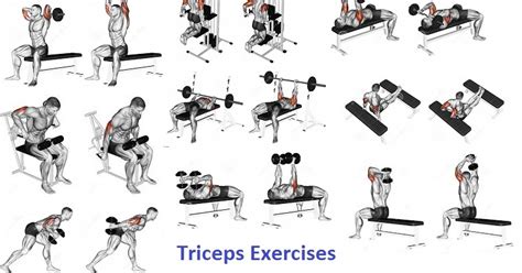 How to Get Bigger Triceps ~ multiple fitness