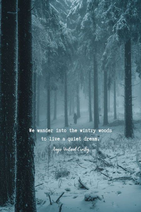 Winter Quotes to Make the Soul Sparkle | Nature Photography