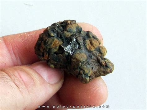 METEORITE pallasite SERICHO (13)