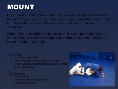 Brazilian Jiu Jitsu fundamental positions