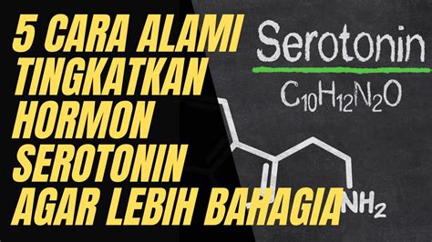 CARA MENINGKATKAN HORMON BAHAGIA | MENGAKTIFKAN HORMON BAHAGIA | HORMON ...