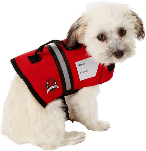 PAWS ABOARD Lifeguard Neoprene Dog Life Jacket, XX-Small - Chewy.com