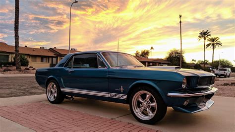 1965 Ford Mustang GT350 Coupe : r/carporn