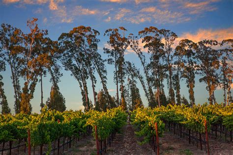 Stanly Ranch, Napa Valley California, Auberge Resorts Collection