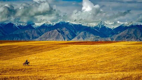 Field Mountains in British Columbia[1920x1200] : r/wallpaper