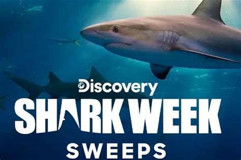 Discovery.com Shark Week Sweepstakes 2021 | SweepstakesBible