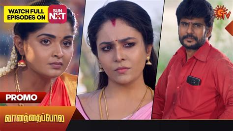 Vanathai Pola Serial Cast