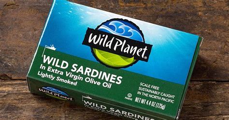 Wild Planet Sardines 6-Pack Only $8.43 Shipped on Amazon | Hip2Save