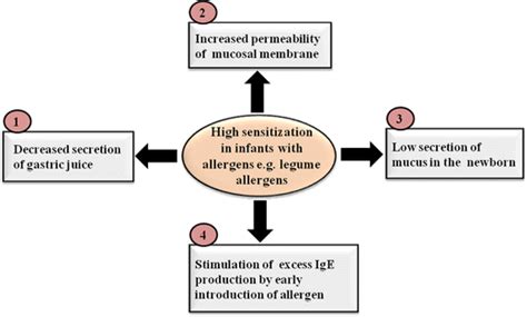 A Comprehensive Review of Legume Allergy | SpringerLink