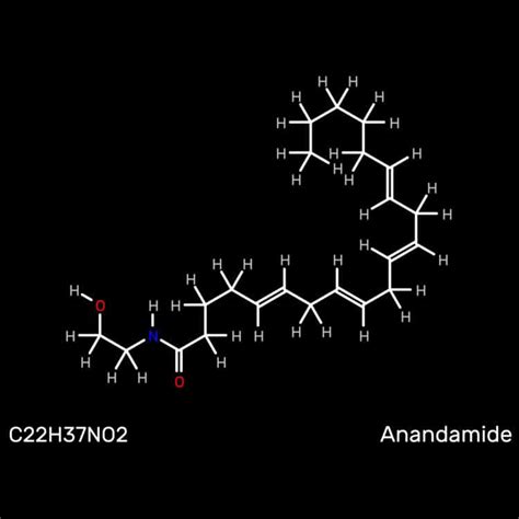 Anandamide Supplements - How The Bliss Molecule Works