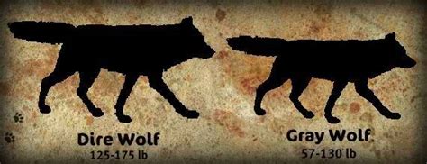 Dire Wolf Size Chart