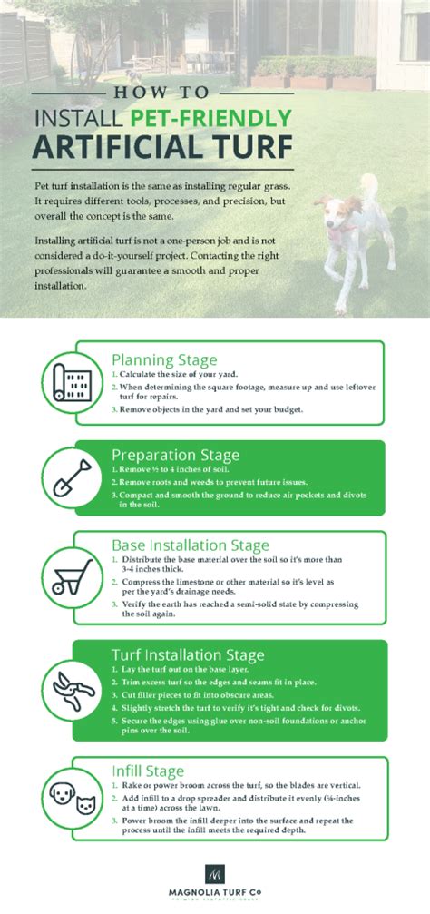 A Guide to Pet Turf Installation and Maintenance - Magnolia Turf