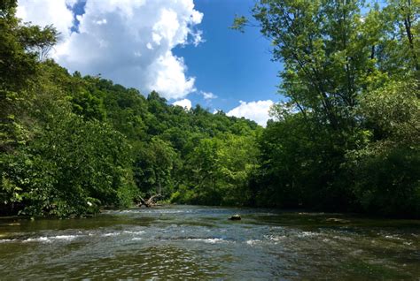 Summer into Fall: Fly Fishing the Legendary Spring Creek in Central Pennsylvania - Pennsylvania ...