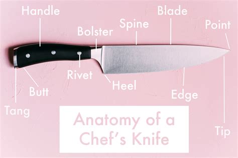 The anatomy of a kitchen knife : r/coolguides