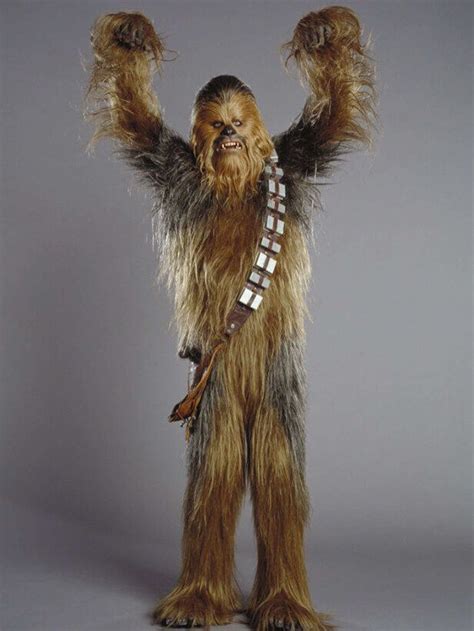 The Evolution of the Wookiee in ‘Star Wars’ | FANDOM