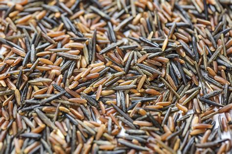 Wild Rice Isn't Actually Rice At All... - Health Problems News