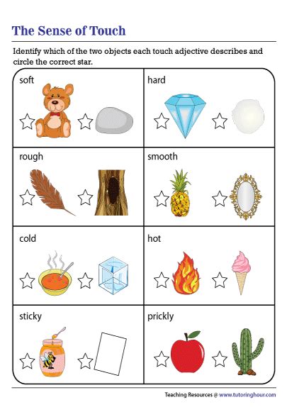 Sense of Touch Worksheet