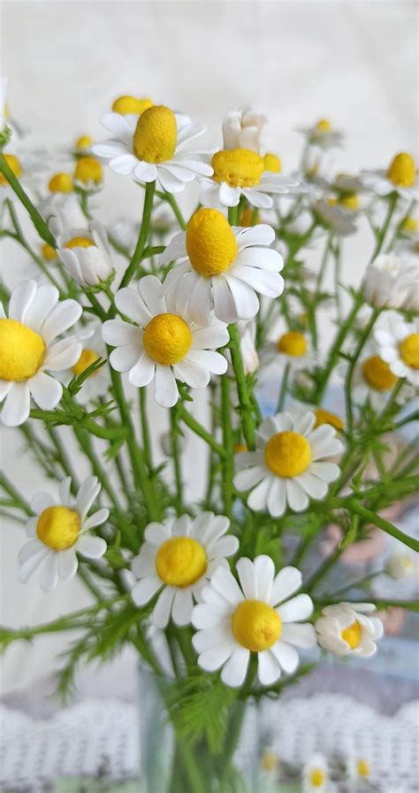 Daisies. Bouquet of Daisies. Wild Flowers. Real Touch Flowers. - Etsy