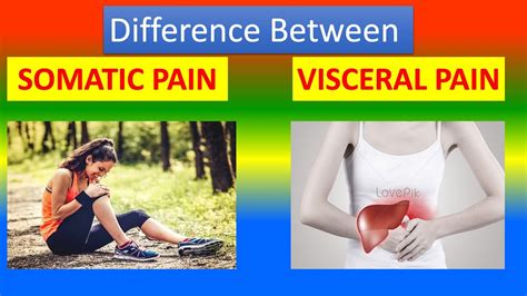 Difference Between Somatic and Visceral Pain - YouTube