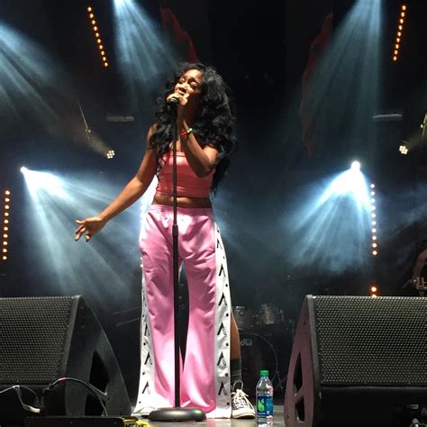 SZA Charms The Crowd At Afropunk's Brooklyn Concert