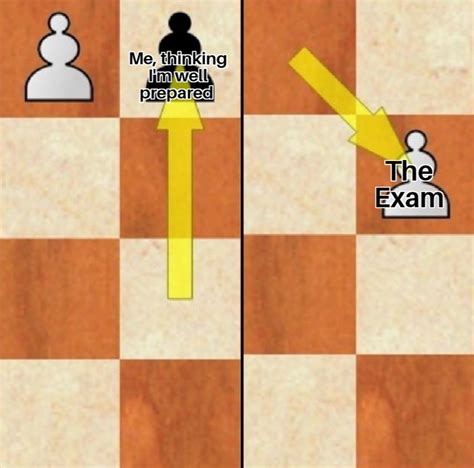 Only 5000 ELO chess players will understand : r/AnarchyChess