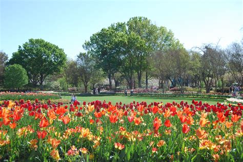 Fort Worth Botanic Garden Map