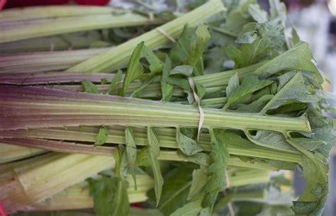 Preparing Cardoons for Use in Recipes