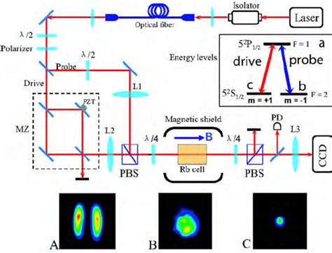 Experimental schematic. λ /2: half-wave plate; λ /4: quarter-wave ...