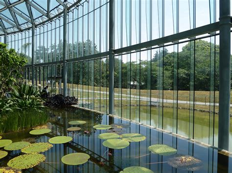 Shinjuku Gyoen Greenhouse | Rob Young | Flickr