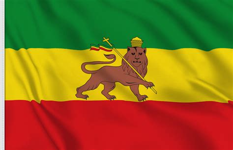 Ethiopian Flag Lion Of Judah