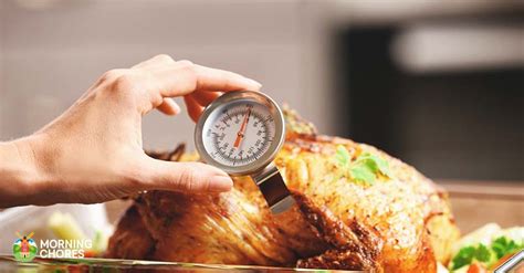 6 Best Meat Thermometer Reviews: Essential For Perfectly Cooked Meat