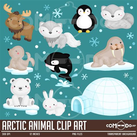 Arctic Animal Clipart Cute Animal Clip Art Wild Animal | Etsy in 2021 | Clip art, Arctic animals ...