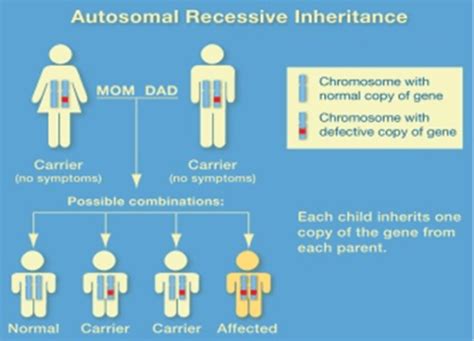 Cystic Fibrosis – Decode Genomics