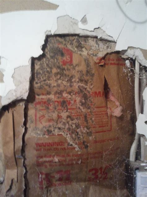 drywall - Is this termite damage and if so how do I repair it? - Home ...
