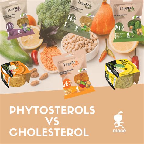 What are phytosterols, which benefits do they provide and in which ...