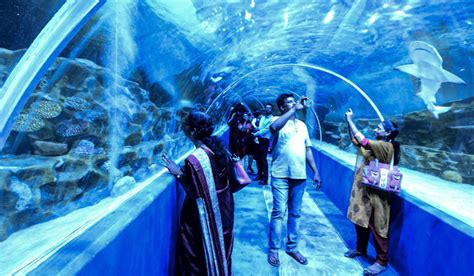 VGP Marine Kingdom | VGP Ravidas on India's latest aquarium | blooloop