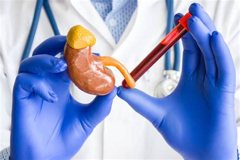 Kidney Function test in Bengaluru - Medvinlab.com